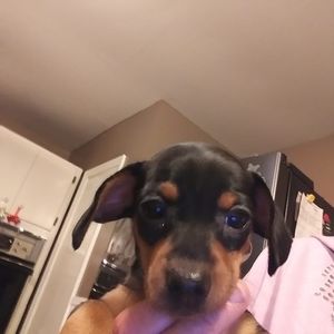 Meet your Posher, Laura